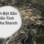 Tinh Bột Sắn Biến Tính Alpha Starch